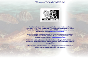 Cover image from FISHBONE