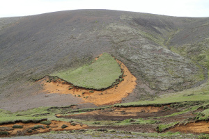 Island of vegetation and soil on western flanks of Eyjafjallajökull in 2011