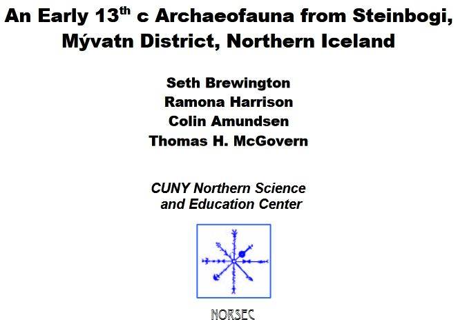 Steinbogi 2004 report