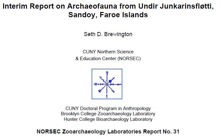 Undir Junkarinsfløtti 2006 Report