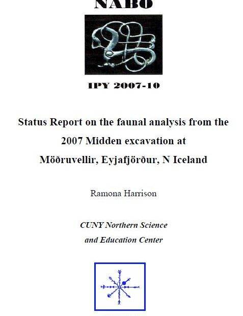 Möðruvellir 2008 Report