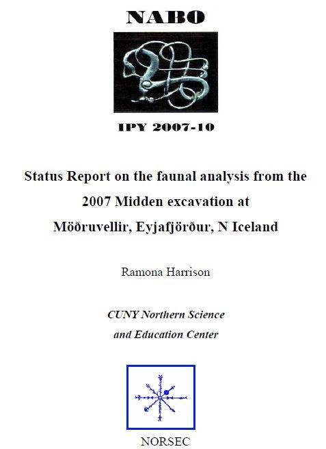 Möðruvellir 2008 Report