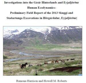 Skuggi Staðartunga 2013 Report