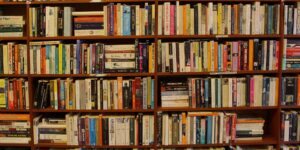 Photo of a very full bookshelf