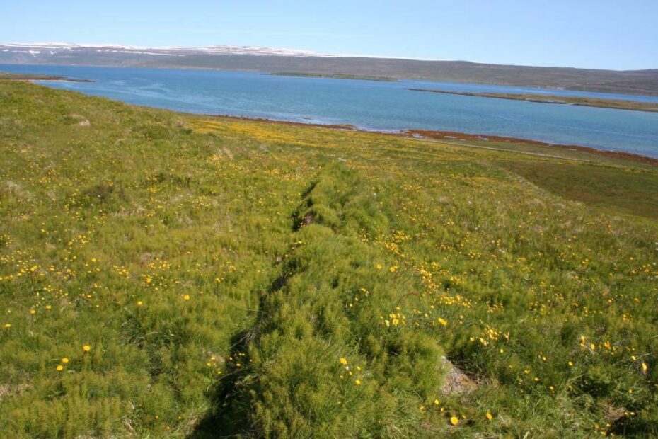 Photograph of wall at Vatnsfjorður.