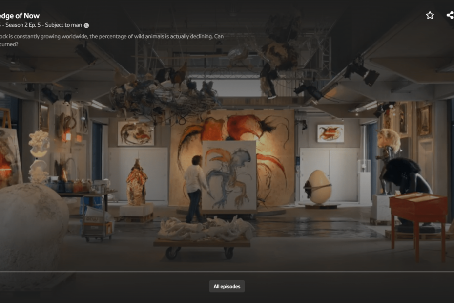 Screenshot from The Knowledge of Now