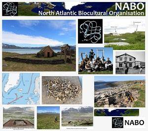 Photo Gallery: NABO inspiration board