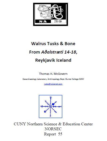 Walrus Tusks & Bone From Aðalstræti 14‐18, Reykjavík Iceland