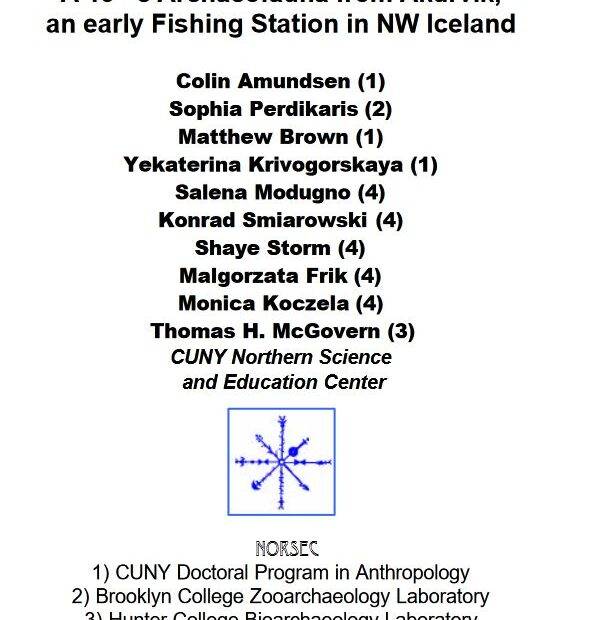 Akurvík 2004 report