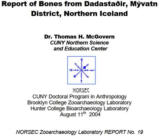 Dadastaðir 2004 report