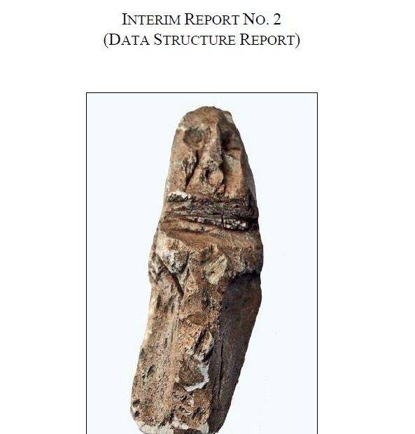 Hamar Excavation 2007 Report