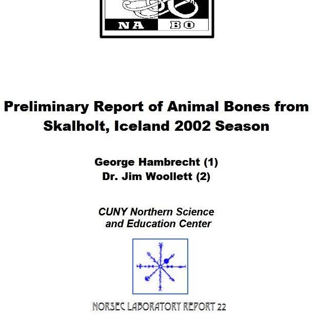 Skalholt 2002 Report