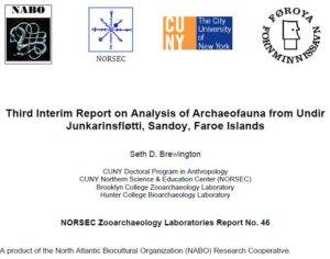 Undir Junkarinsfløtti 2010 Report