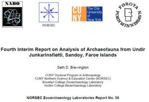 Undir Junkarinsfløtti 2011 Report