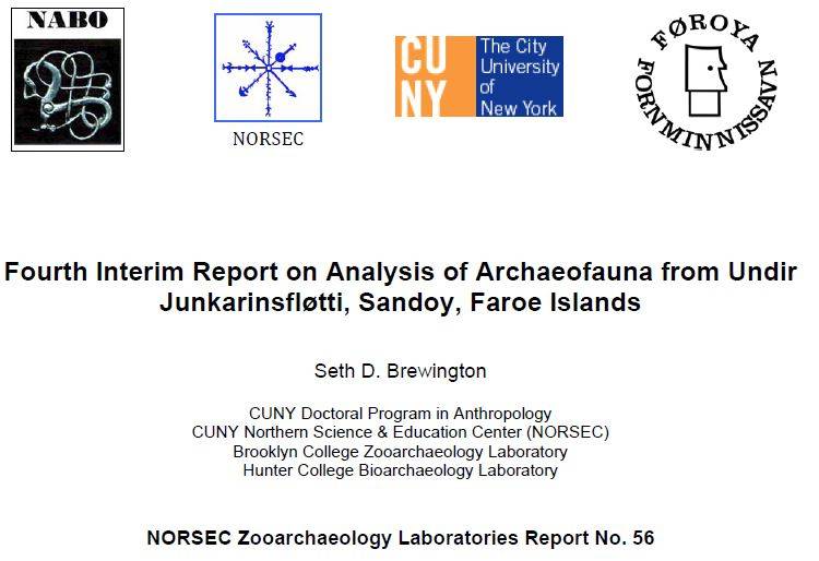 Undir Junkarinsfløtti 2011 Report