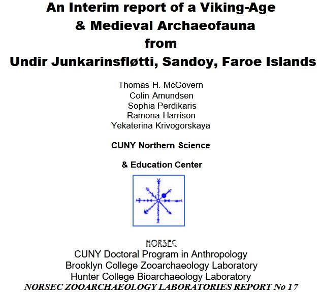 Undir Junkarinsfløtti, 2004 report
