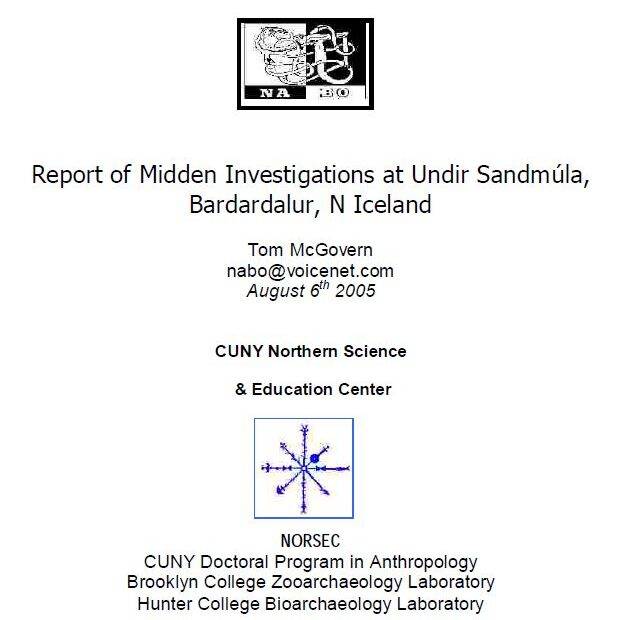 Undir Sandmula 2005 Report