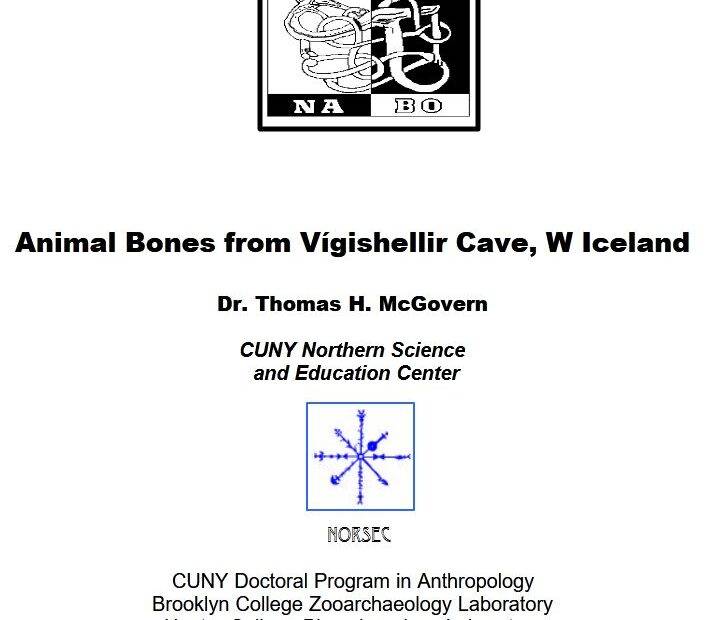 Animal Bones from Vígishellir Cave report