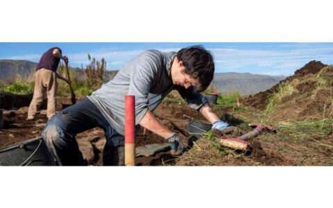 Hofstaðir field school banner - photograph of archaeologist digging