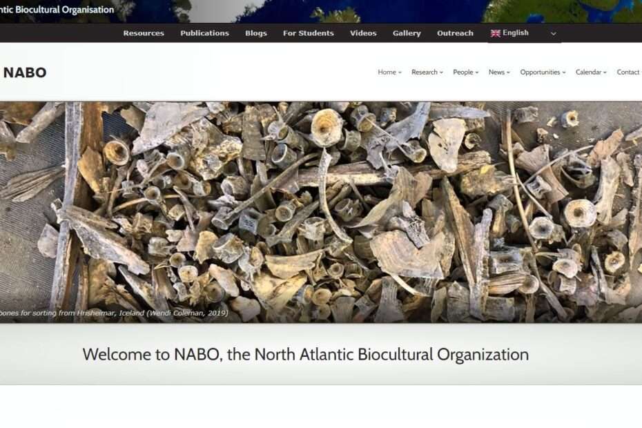 Image of new NABO website