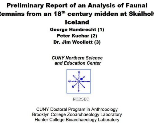 Preliminary Report of an Analysis of Faunal Remains from an 18th century midden at Skálholt, Iceland