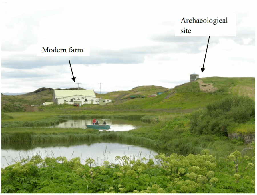 Norse Utilisation of Archaeobotanical Resources within the Myvatnssveit locale, Northern Iceland (2012)