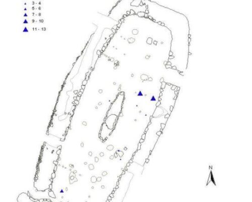 Zooarchaeology of Aðalstræti 14-16, 2001: Report of the Viking Period Animal Bones