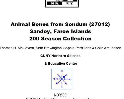 Animal Bones from Sondum (27012) Sandoy, Faroe Islands 2000 Season Collection