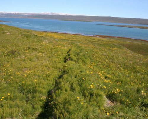 Landnåmene i vest : eksporten av den norske sentralgårdmodellen til landnåmssamfunnene på Færøyene, Island og Grønland (2007)