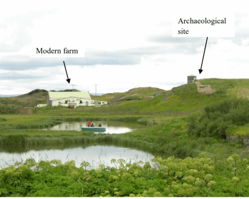 Norse Utilisation of Archaeobotanical Resources within the Myvatnssveit locale, Northern Iceland (2012)