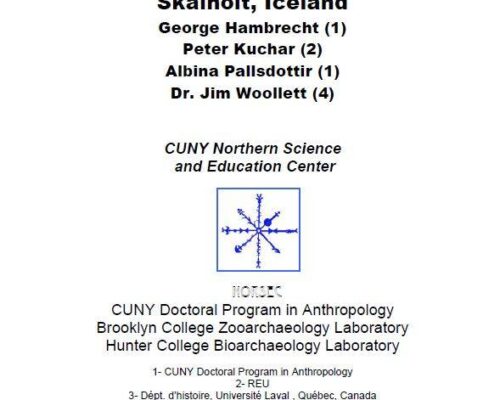 Preliminary Report of the Archaeofauna at Skálholt, Iceland