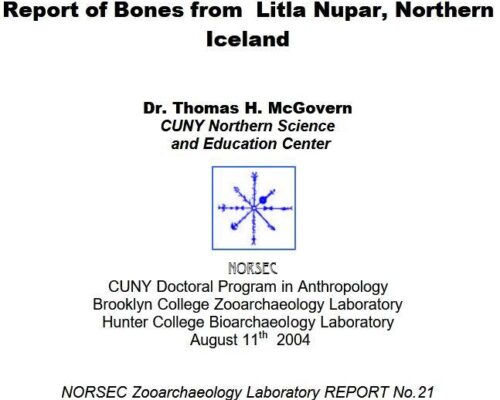 Report of Bones from Litla Nupar, Northern Iceland