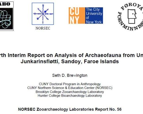 Fourth Interim Report on Analysis of Archaeofauna from Undir Junkarinsfløtti, Sandoy, Faroe Islands