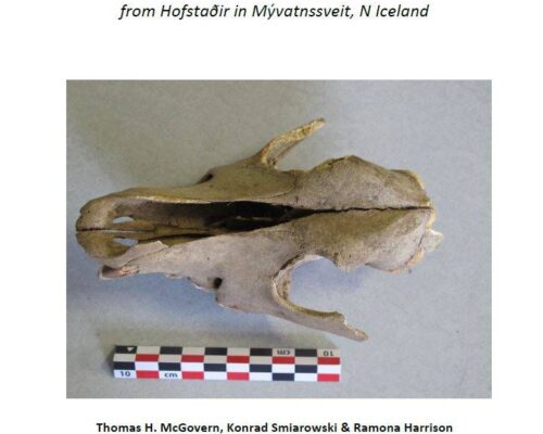 Hard Times at Hofstaðir? An Archaeofauna circa 1300 AD from Hofstaðir in Mývatnssveit, N Iceland