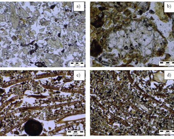 Photomicrographs of micromorphological features in Baldursheimur's winter grazing area soil.